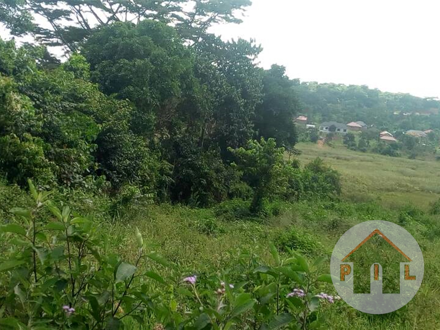 Agricultural Land for sale in Bugiri Wakiso