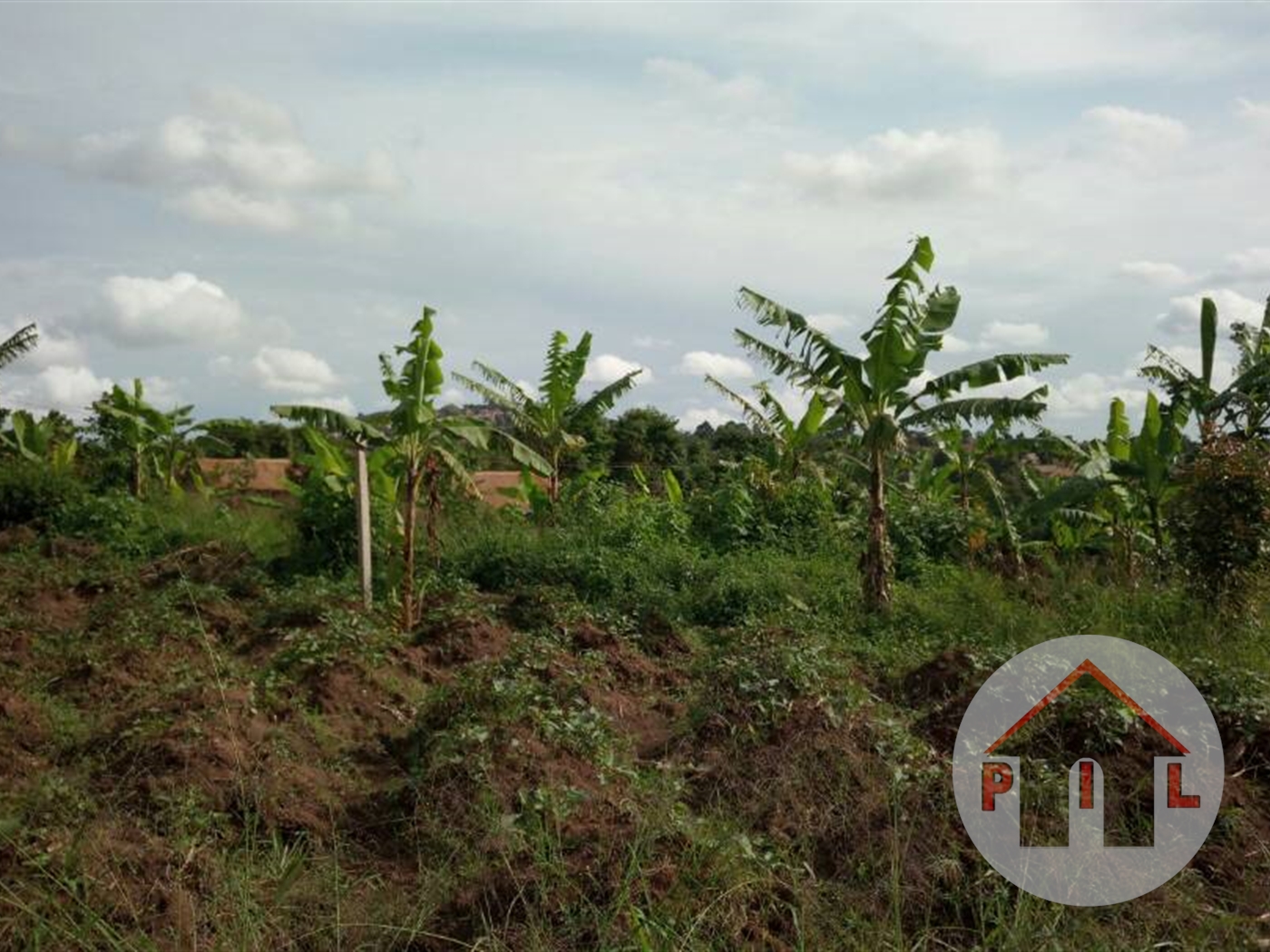 Agricultural Land for sale in Ziloobwe Luweero