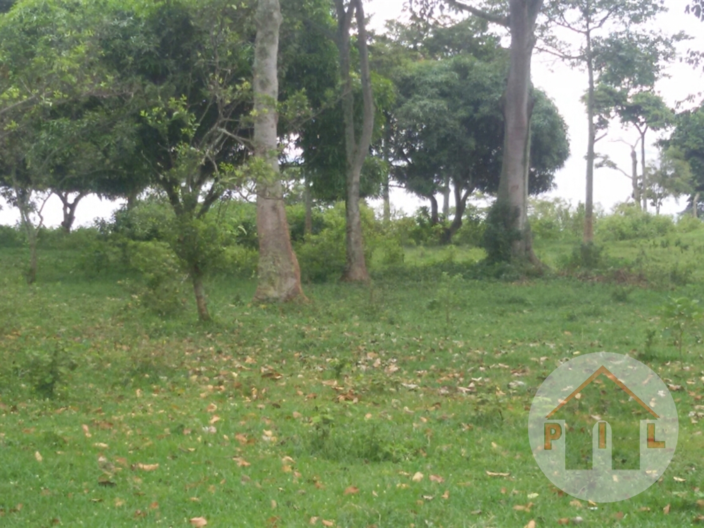 Recreational Land for sale in Entebbe Bugiri