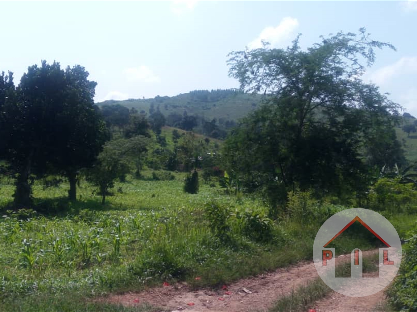 Residential Land for sale in Ziloobwe Luweero