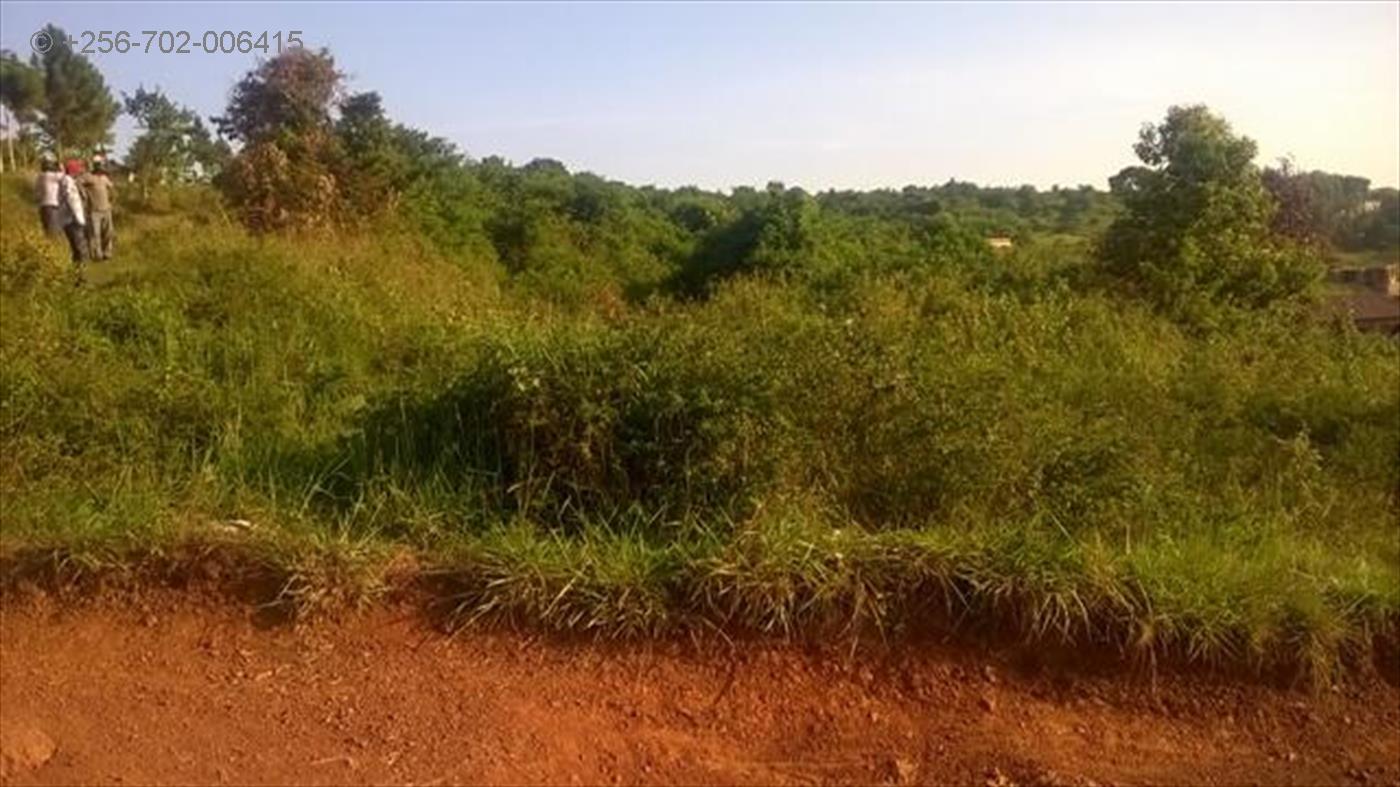 Residential Land for sale in Busaabala Kampala