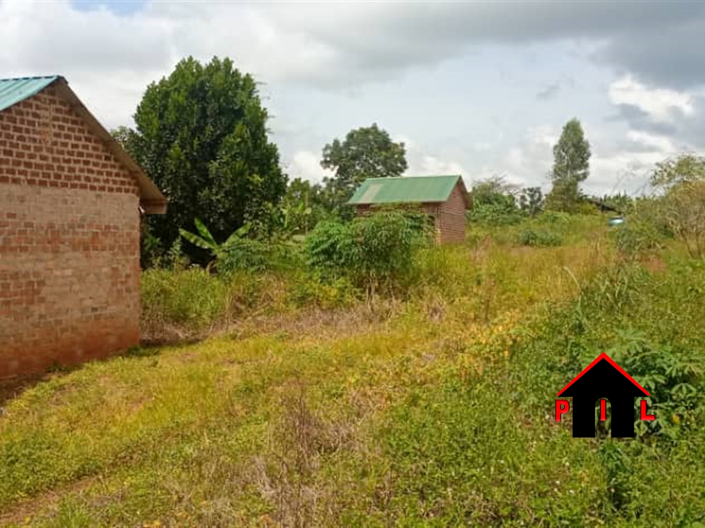 Residential Land for sale in Namulonge Wakiso