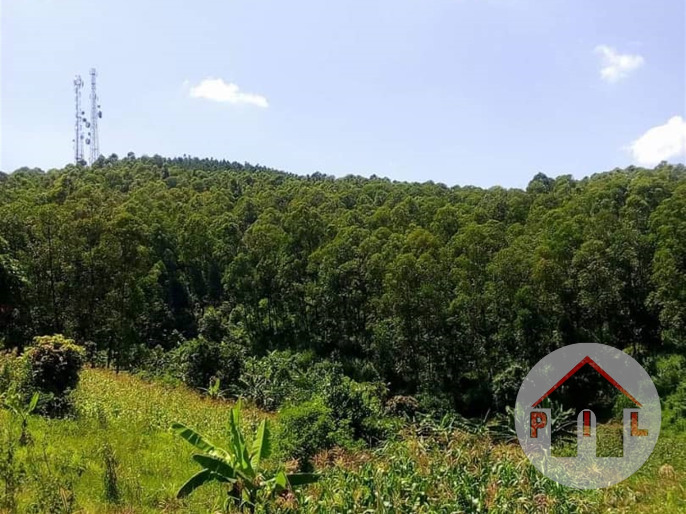 Agricultural Land for sale in Mawokota Mpigi