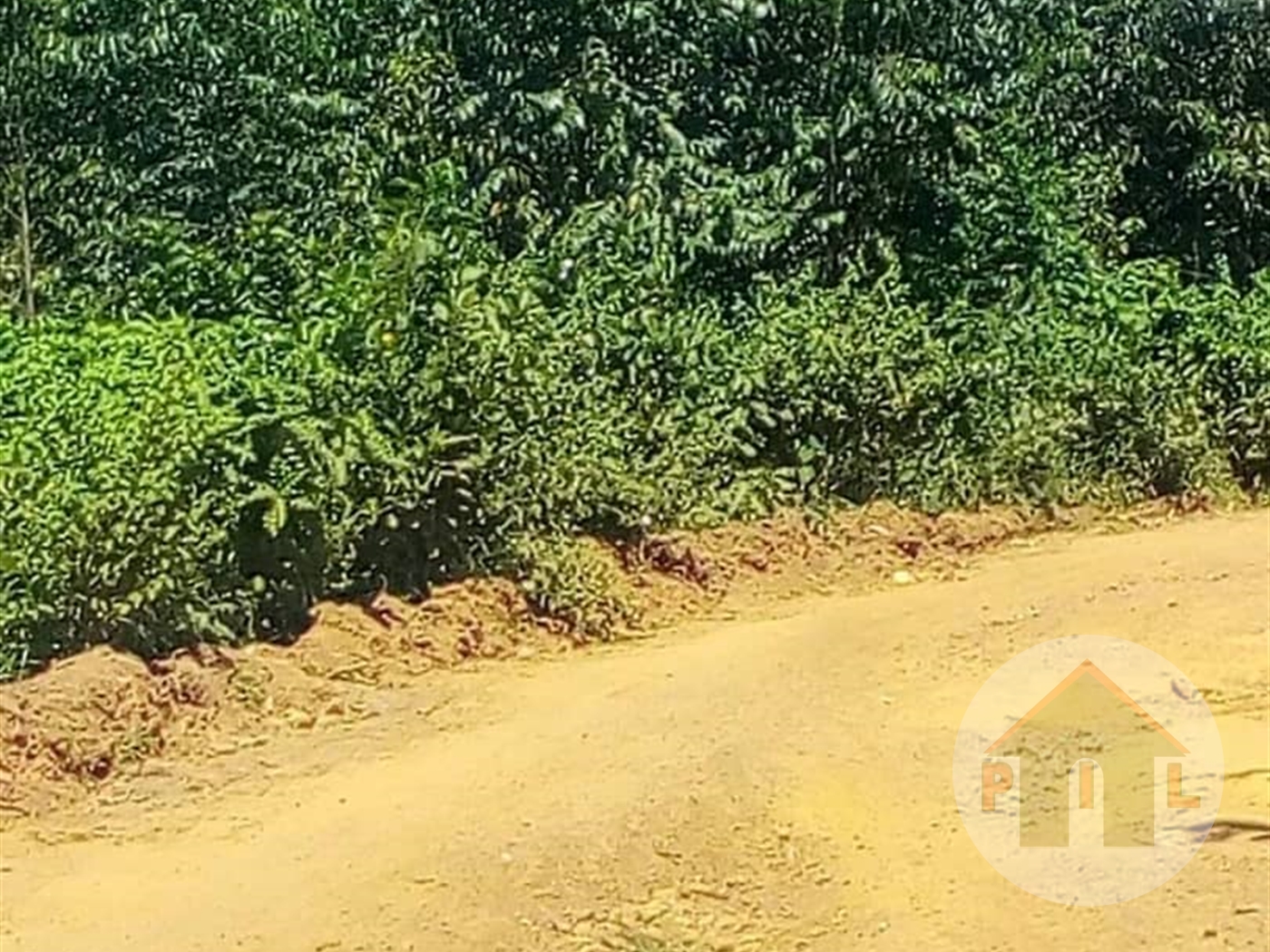 Agricultural Land for sale in Mawokota Mpigi