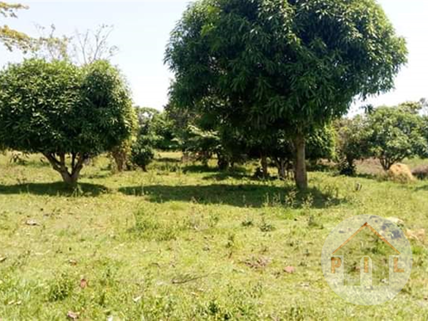 Agricultural Land for sale in Kasanjje Wakiso