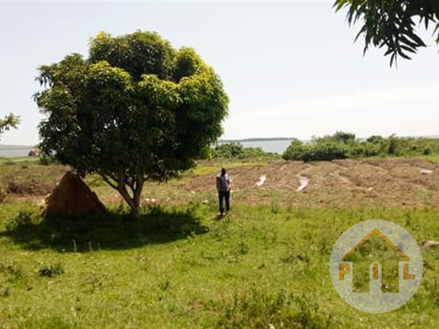 Agricultural Land for sale in Kasanjje Wakiso