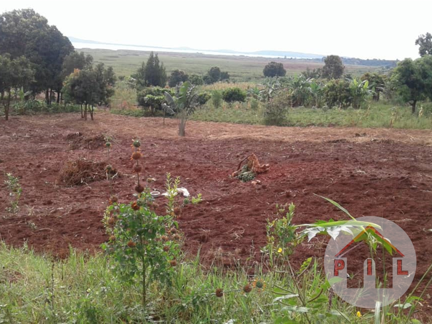 Agricultural Land for sale in Nkozi Mpigi