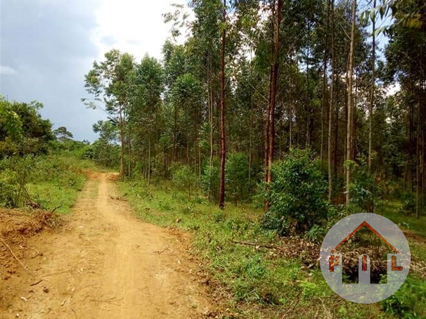 Agricultural Land for sale in Kayabwe Mpigi