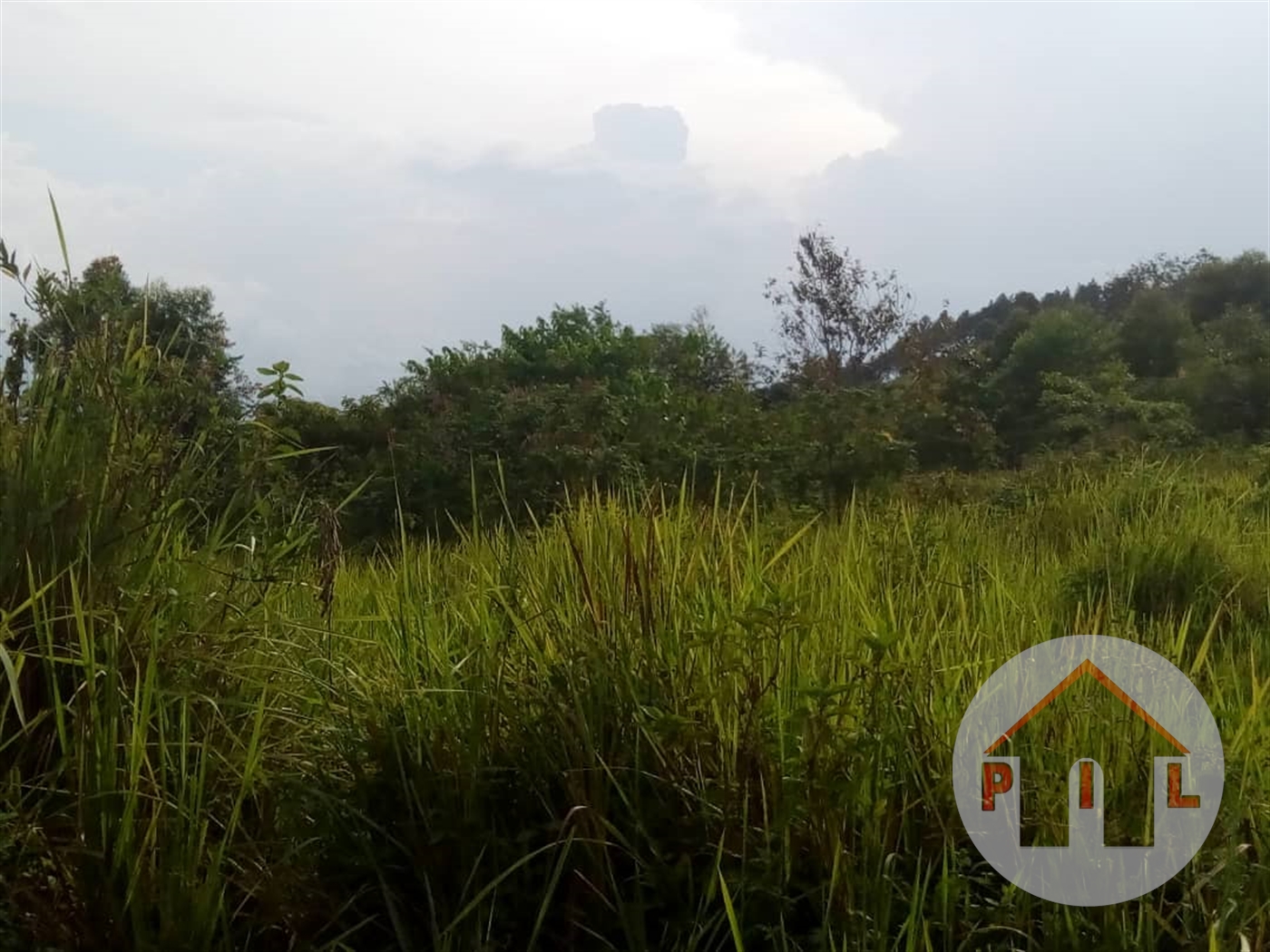 Residential Land for sale in Namulanda Wakiso