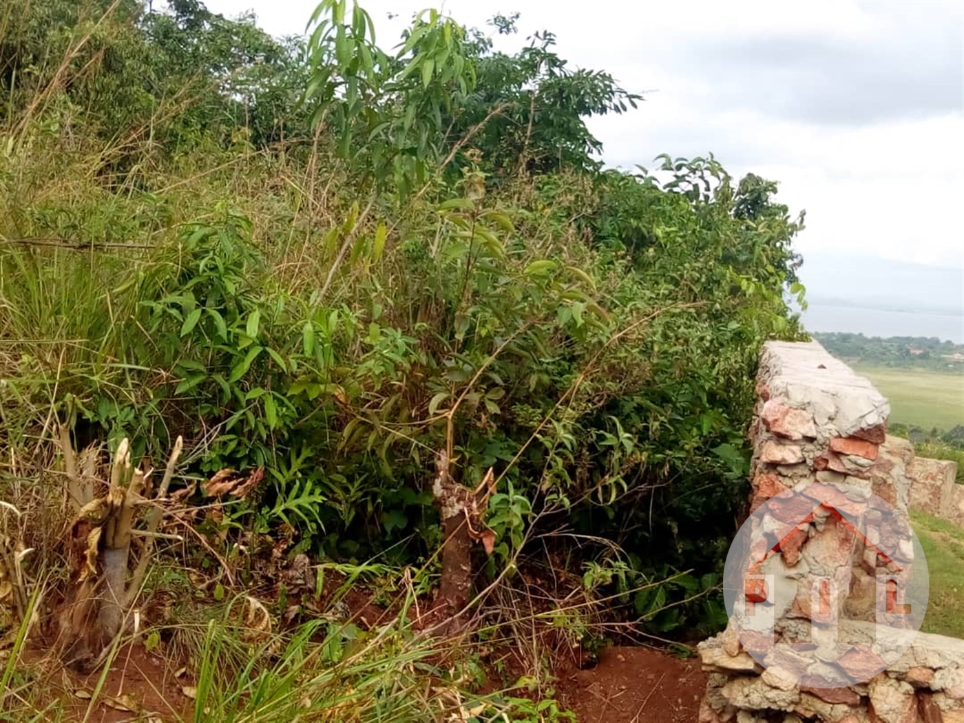 Agricultural Land for sale in Namulanda Wakiso