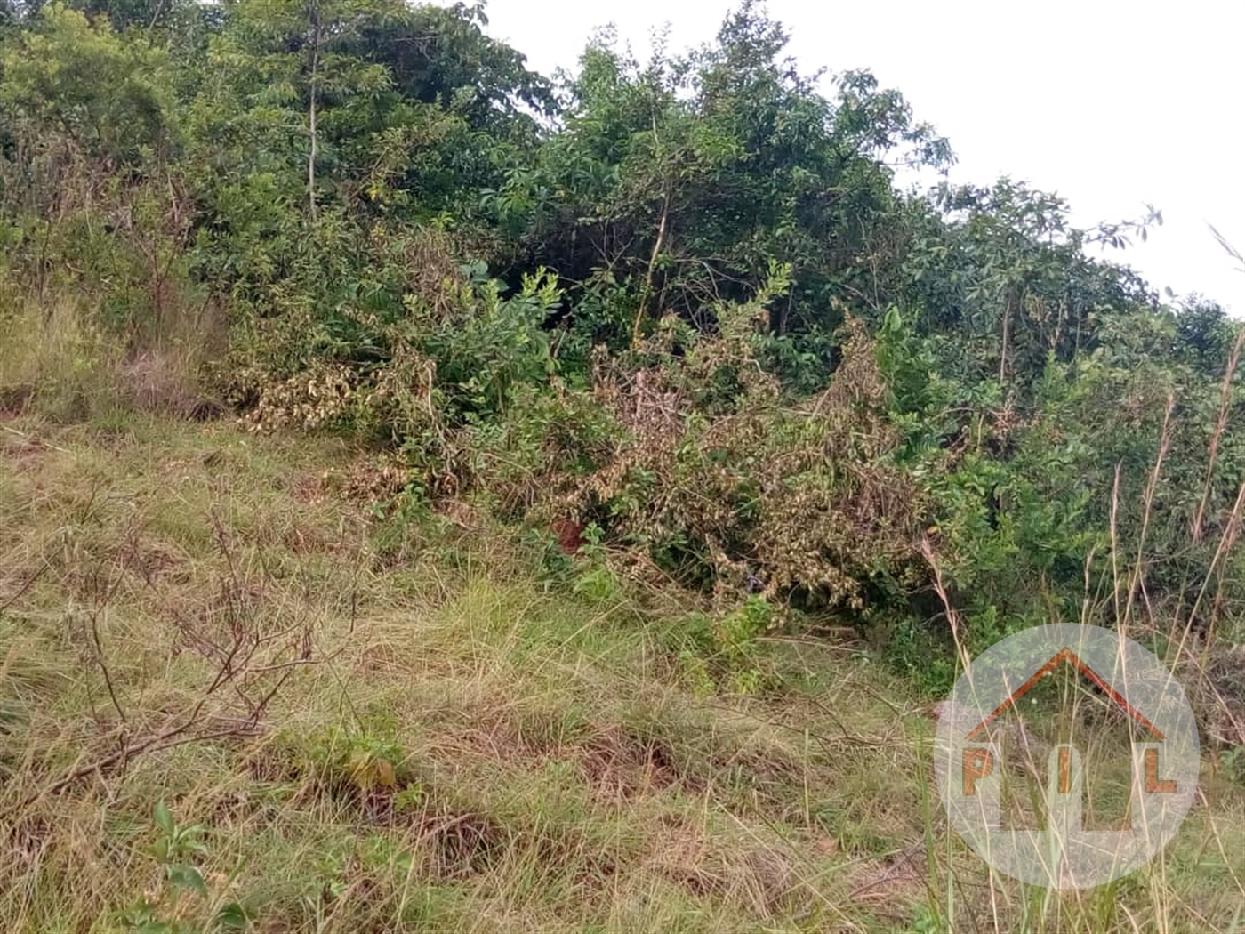 Residential Land for sale in Mukono Mukono