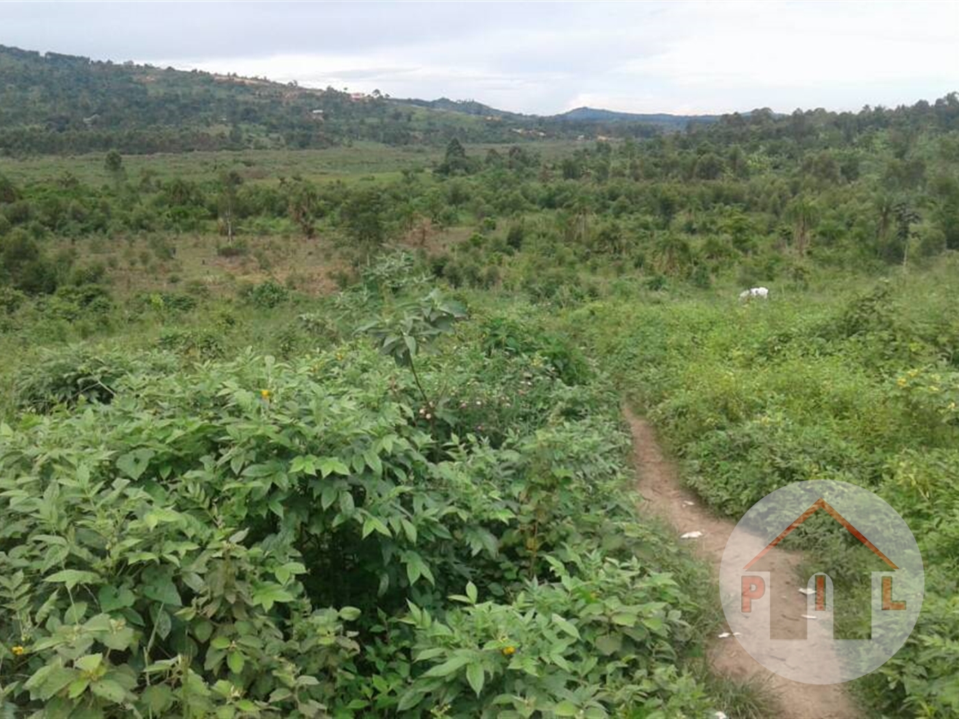 Commercial Land for sale in Kiwawu Mityana