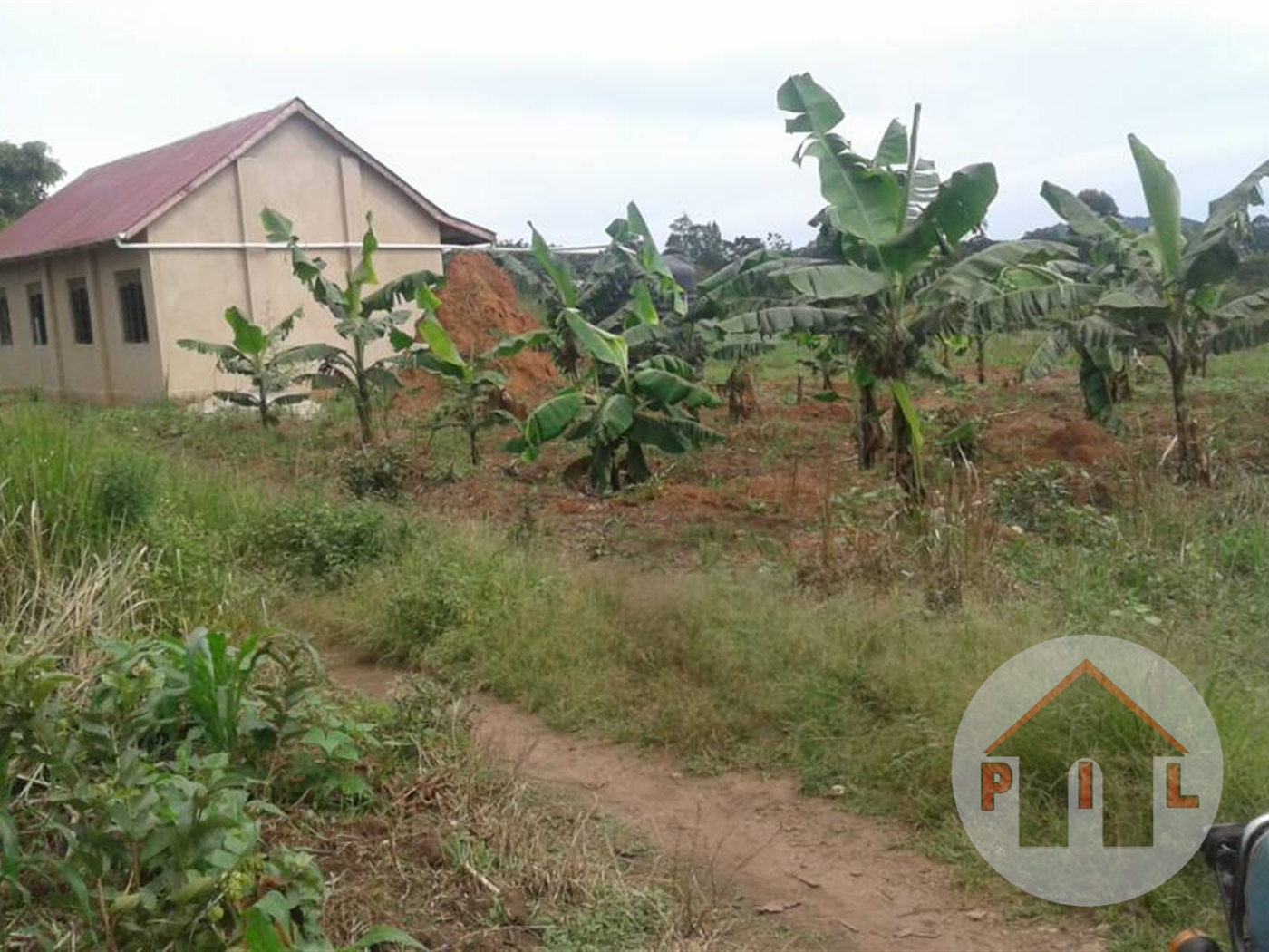 Commercial Land for sale in Kiwawu Mityana