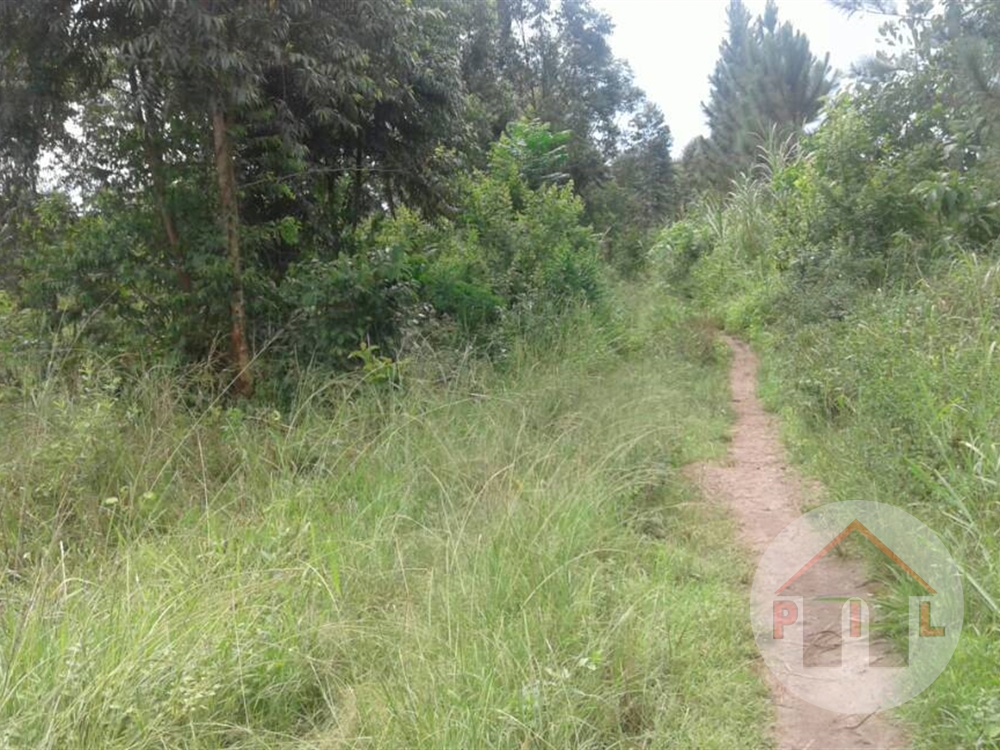 Commercial Land for sale in Kiwawu Mityana