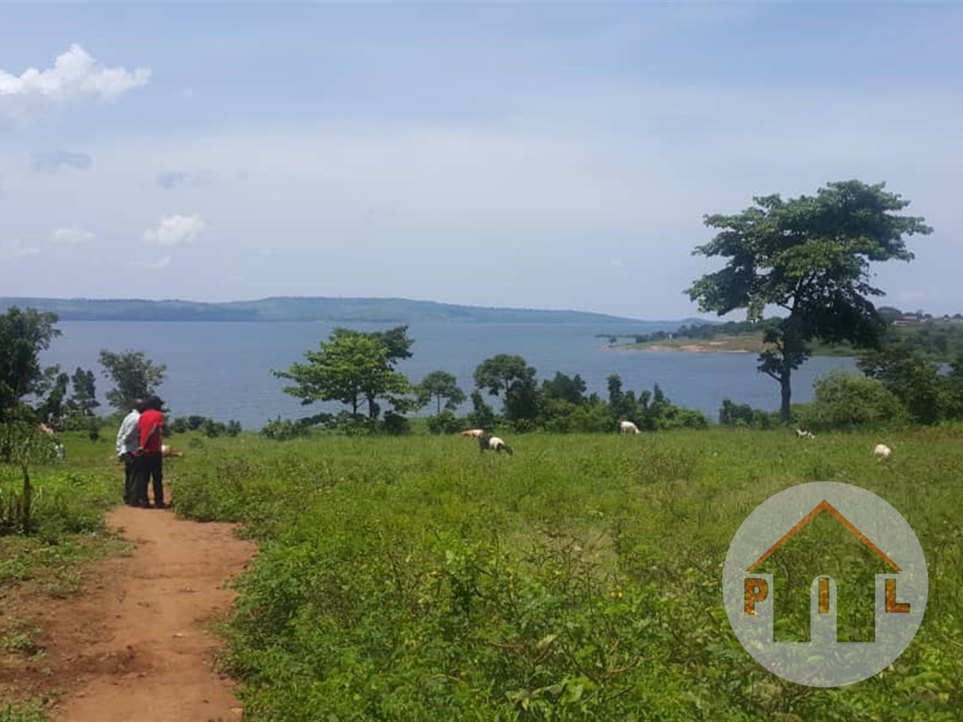 Agricultural Land for sale in Bugoba Mukono