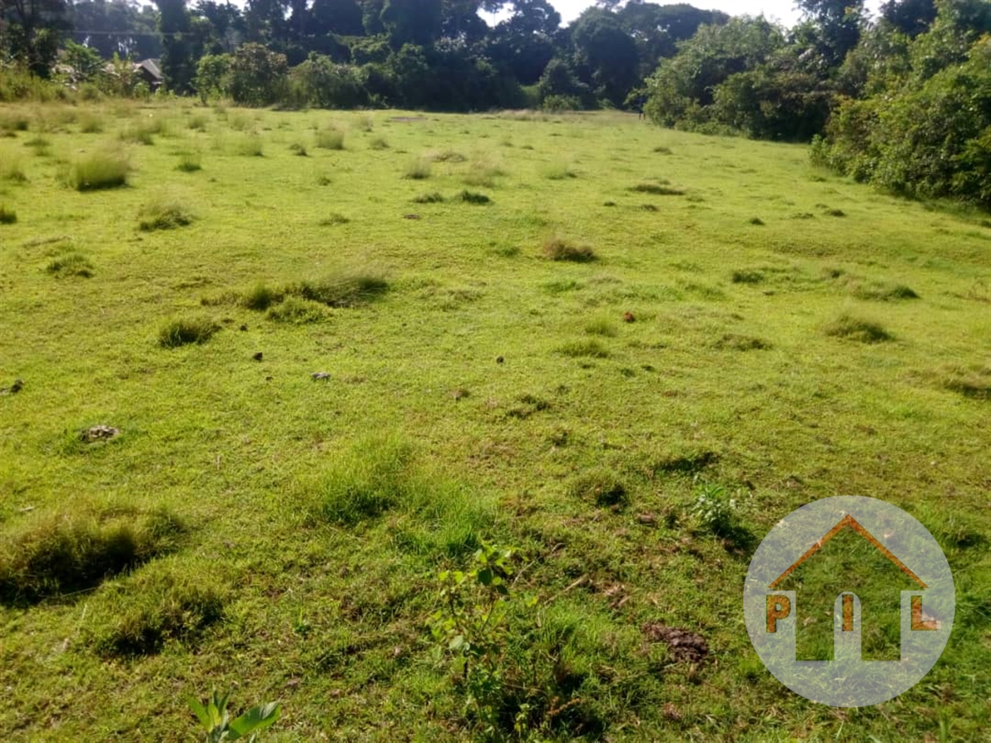 Agricultural Land for sale in Matugga Wakiso