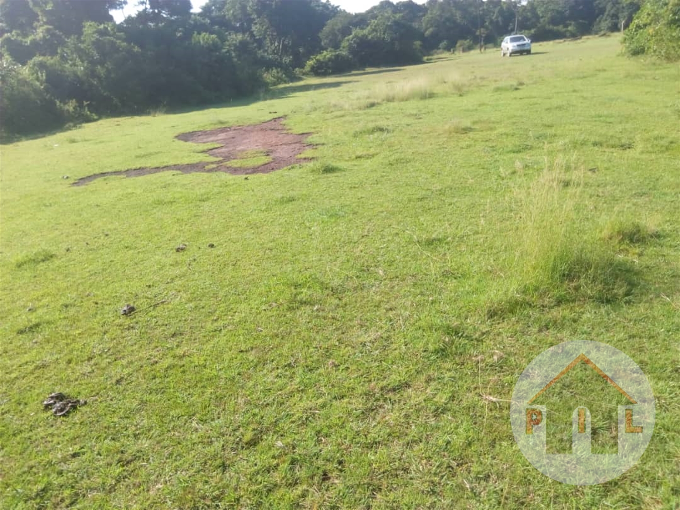 Agricultural Land for sale in Matugga Wakiso