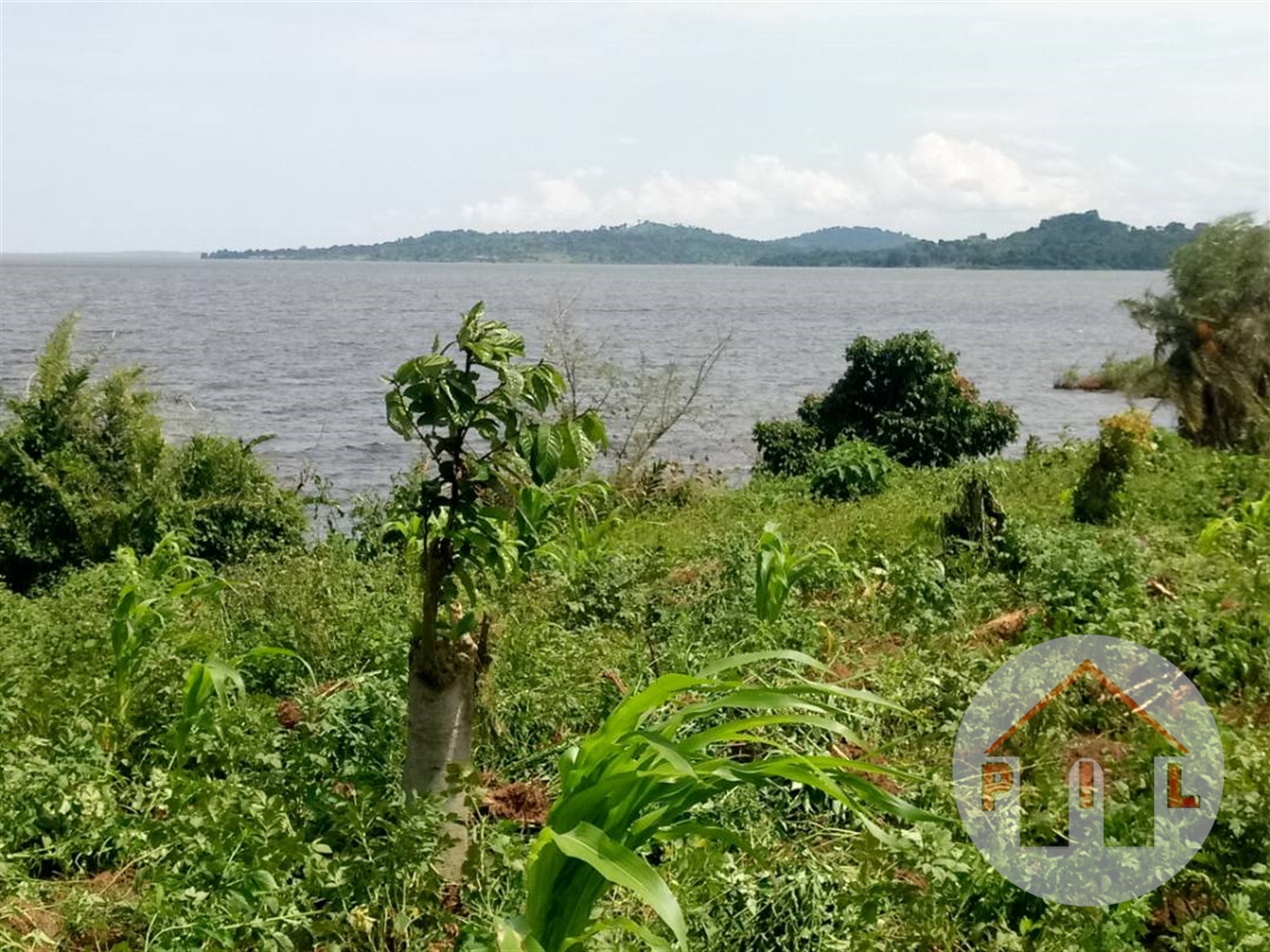 Agricultural Land for sale in Ntenjjeru Mukono