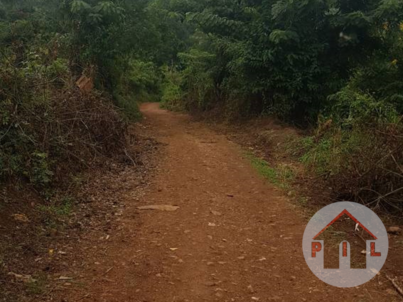 Agricultural Land for sale in Ssemuto Luwero