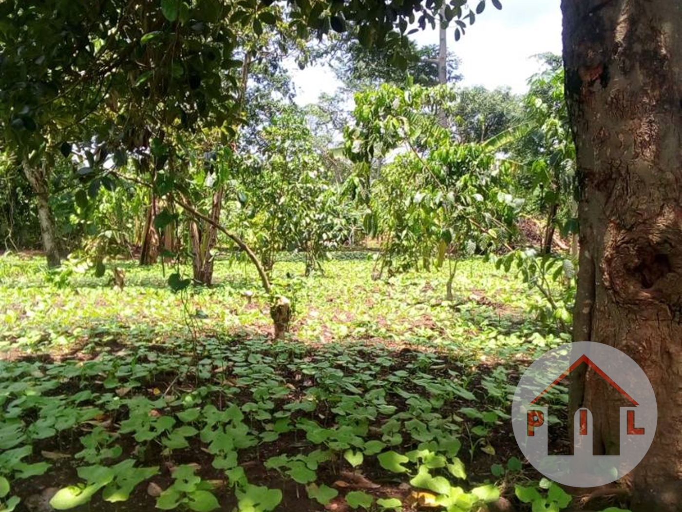 Residential Land for sale in Nakawuka Wakiso