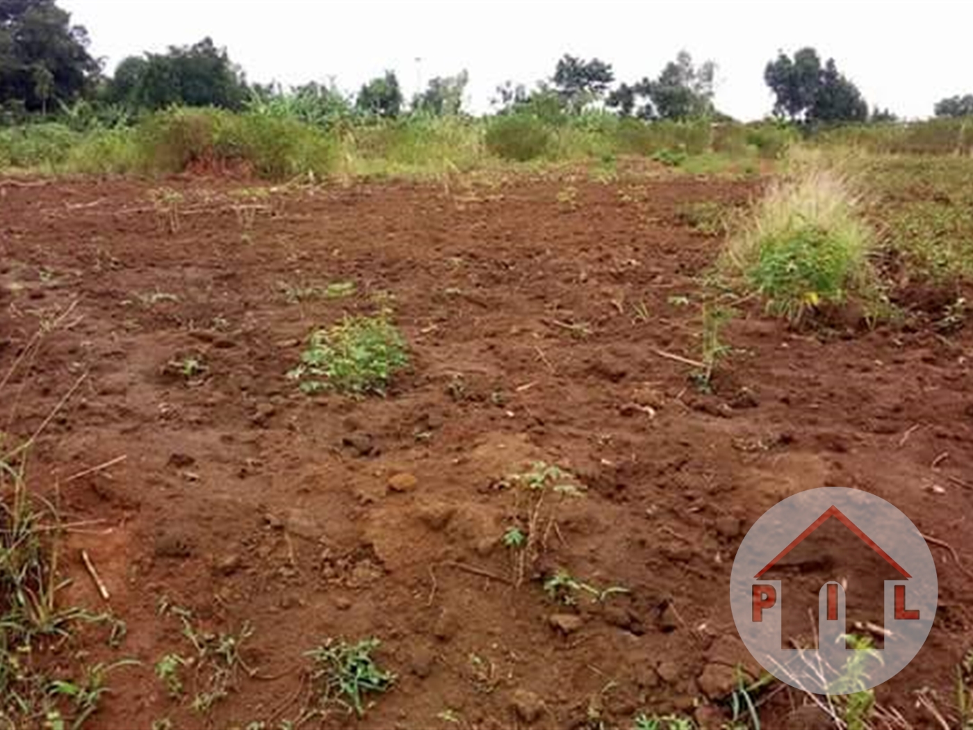 Multipurpose Land for sale in Busiika Luweero