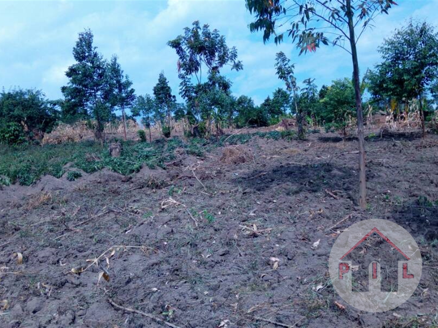 Agricultural Land for sale in Webitungulu Luweero