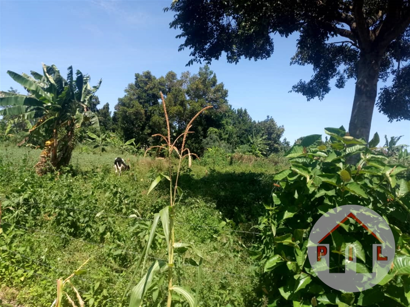 Residential Land for sale in Garuga Wakiso