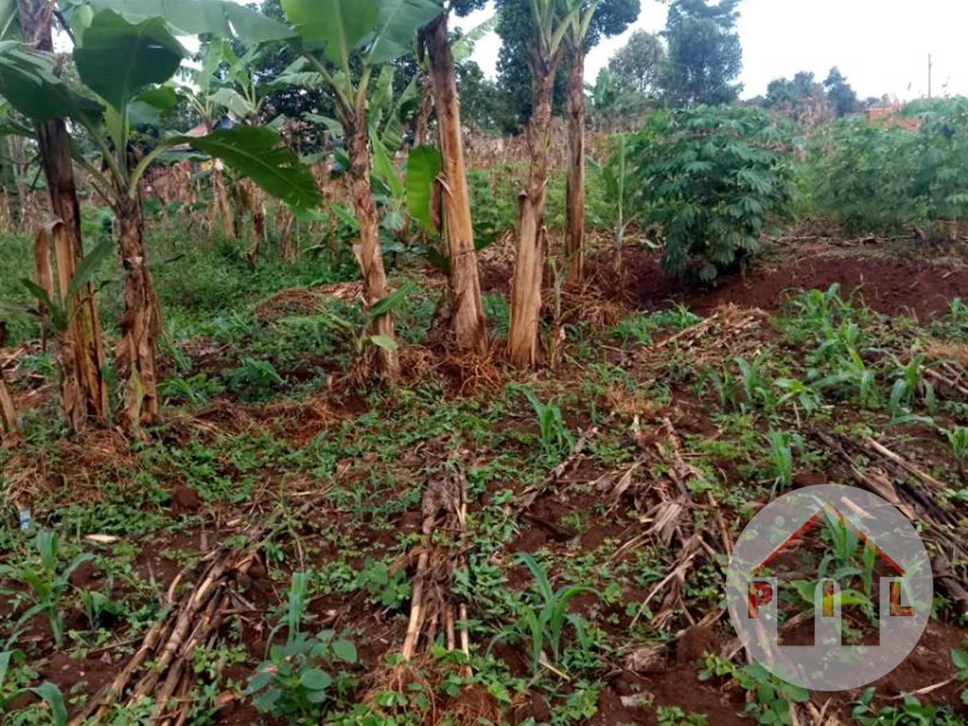 Residential Land for sale in Bweyogerere Wakiso