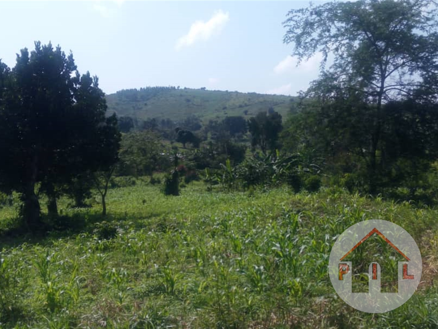 Agricultural Land for sale in Kiyunga Mukono