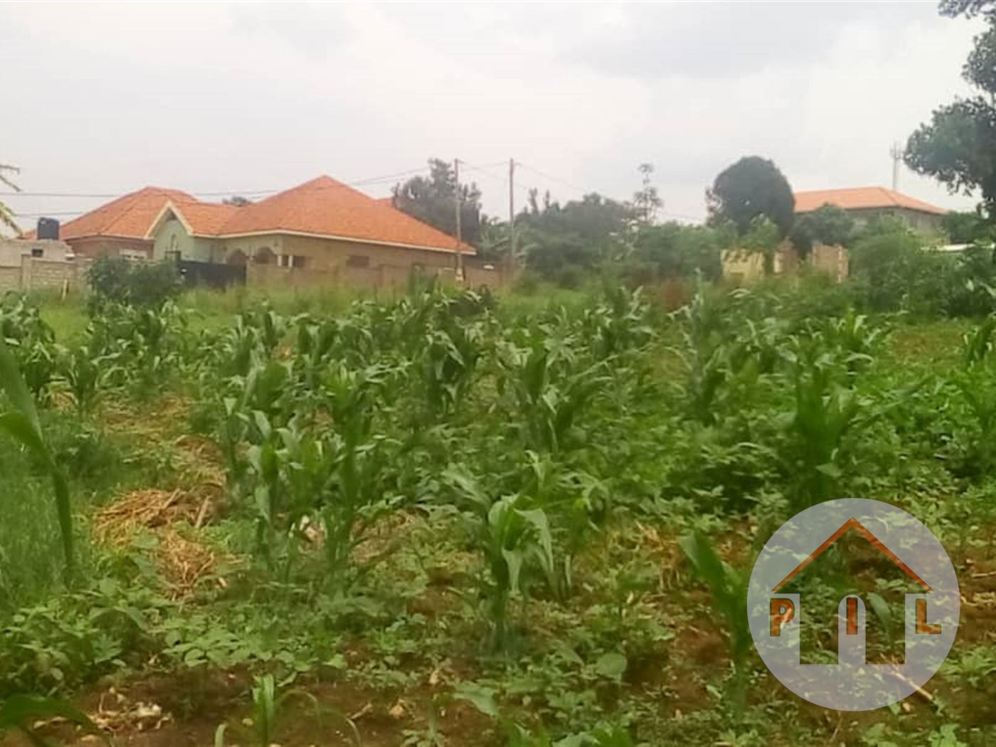 Agricultural Land for sale in Kira Kampala