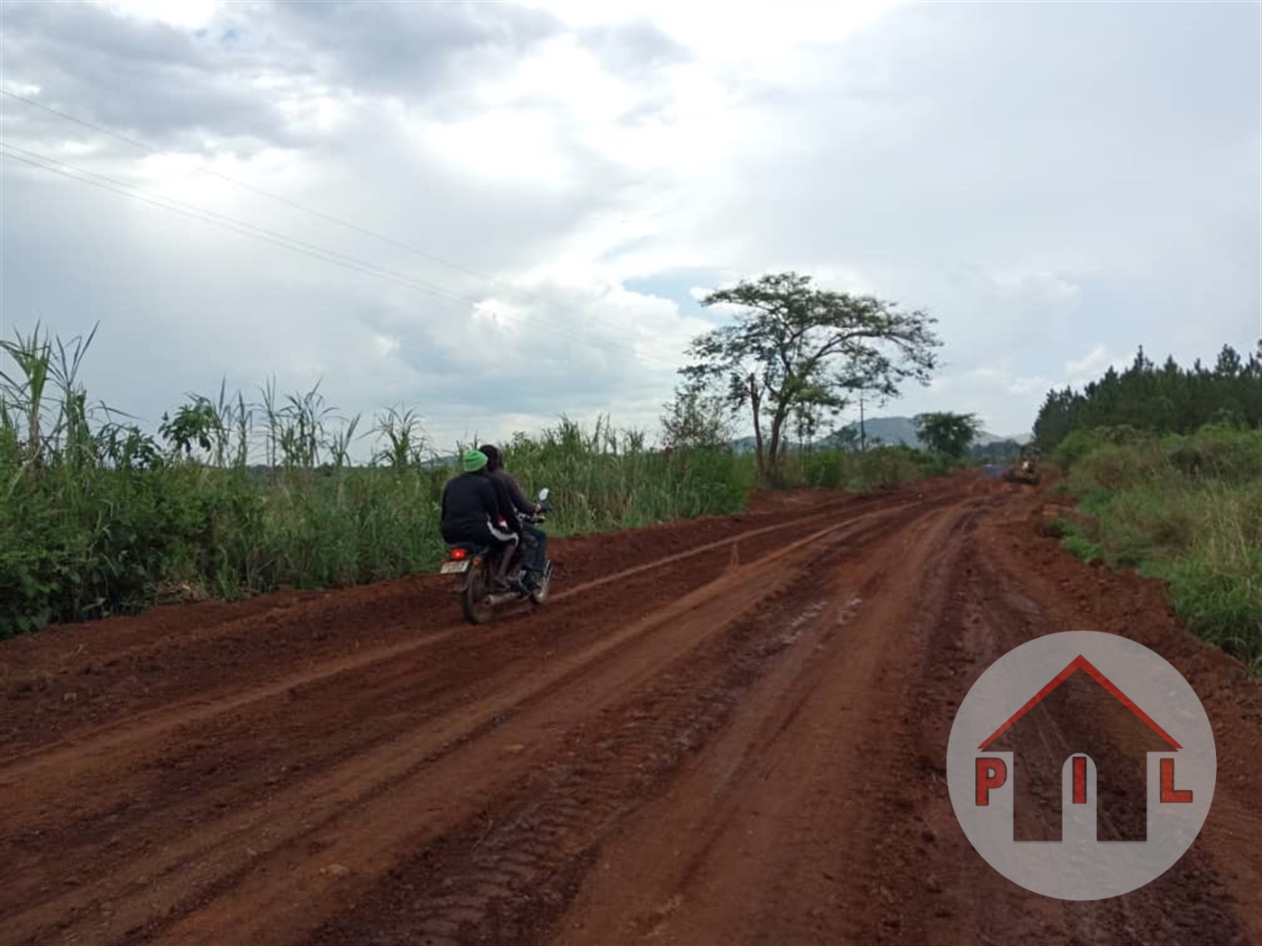 Agricultural Land for sale in Kikyuusa Wakiso