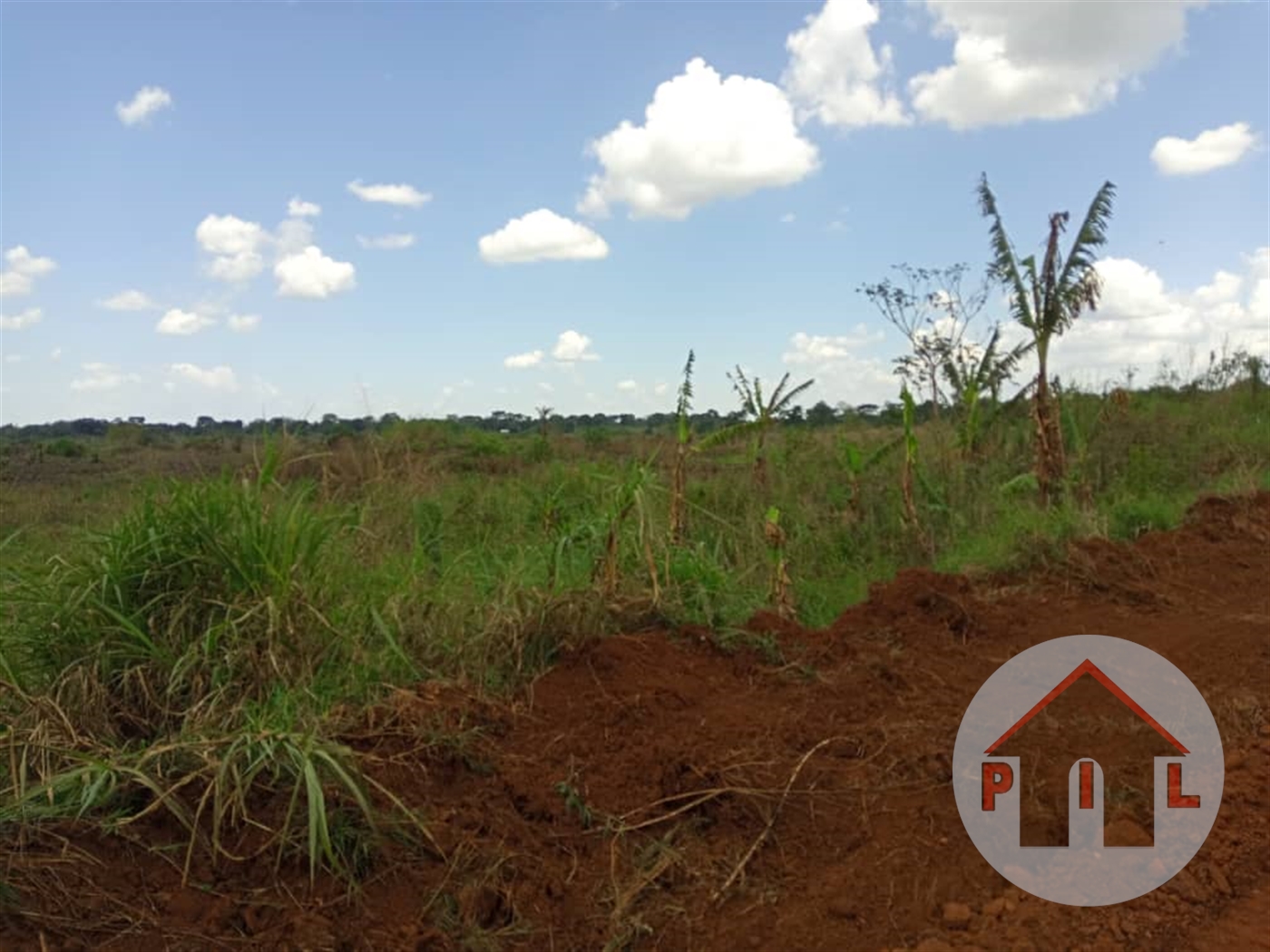 Agricultural Land for sale in Kikyuusa Wakiso