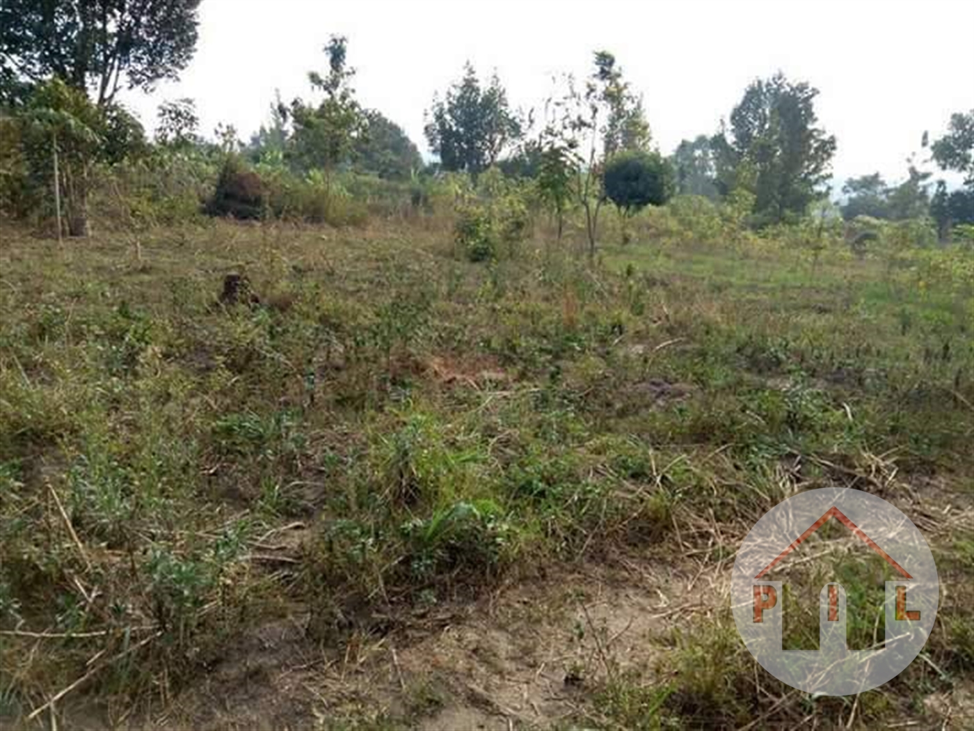 Residential Land for sale in Buwambo Wakiso