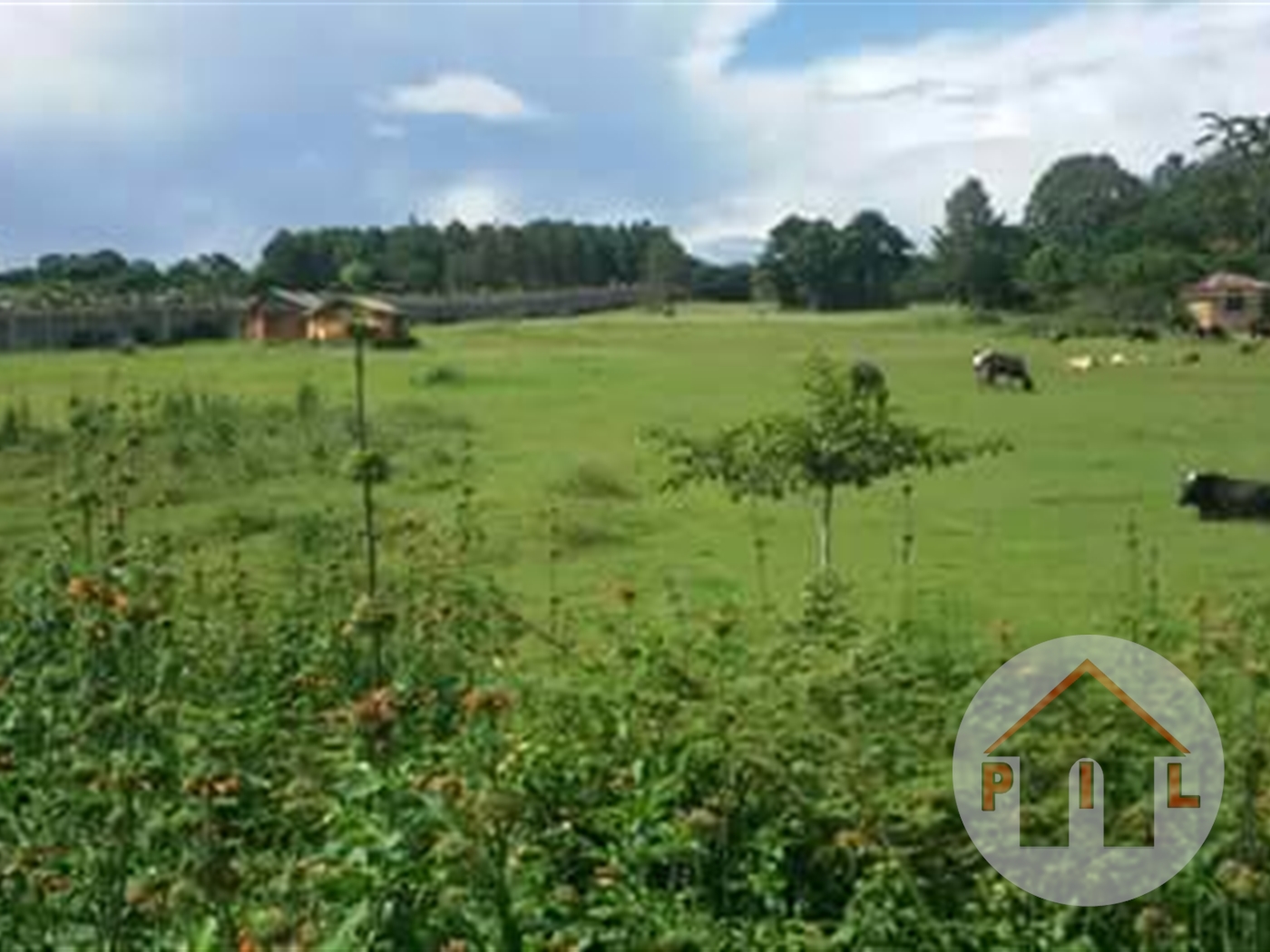 Commercial Land for sale in Bugiri Wakiso