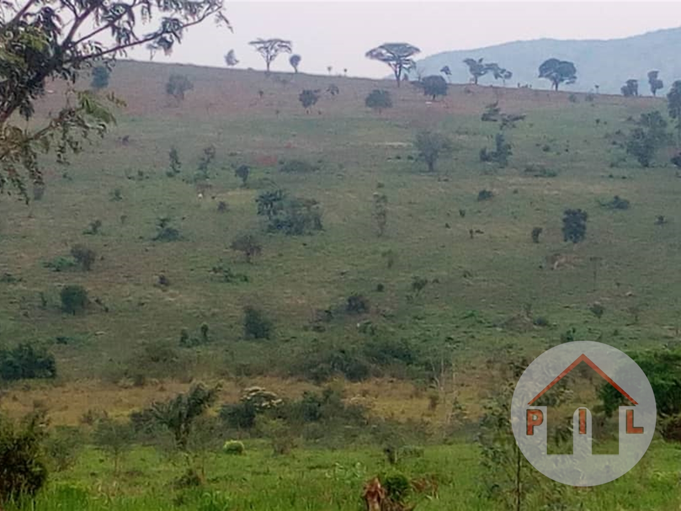 Agricultural Land for sale in Jezza Mpigi