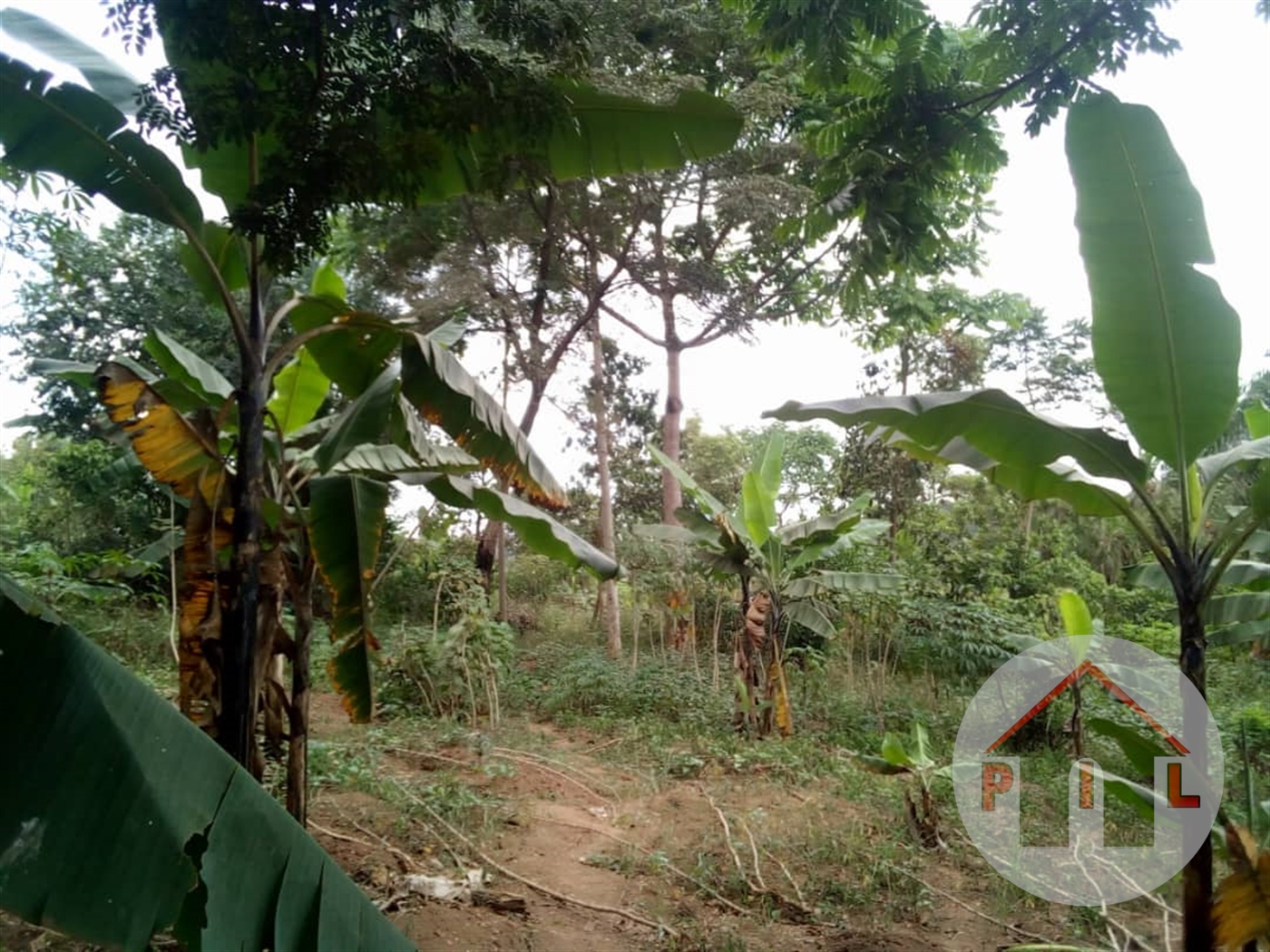 Residential Land for sale in Namusela Wakiso