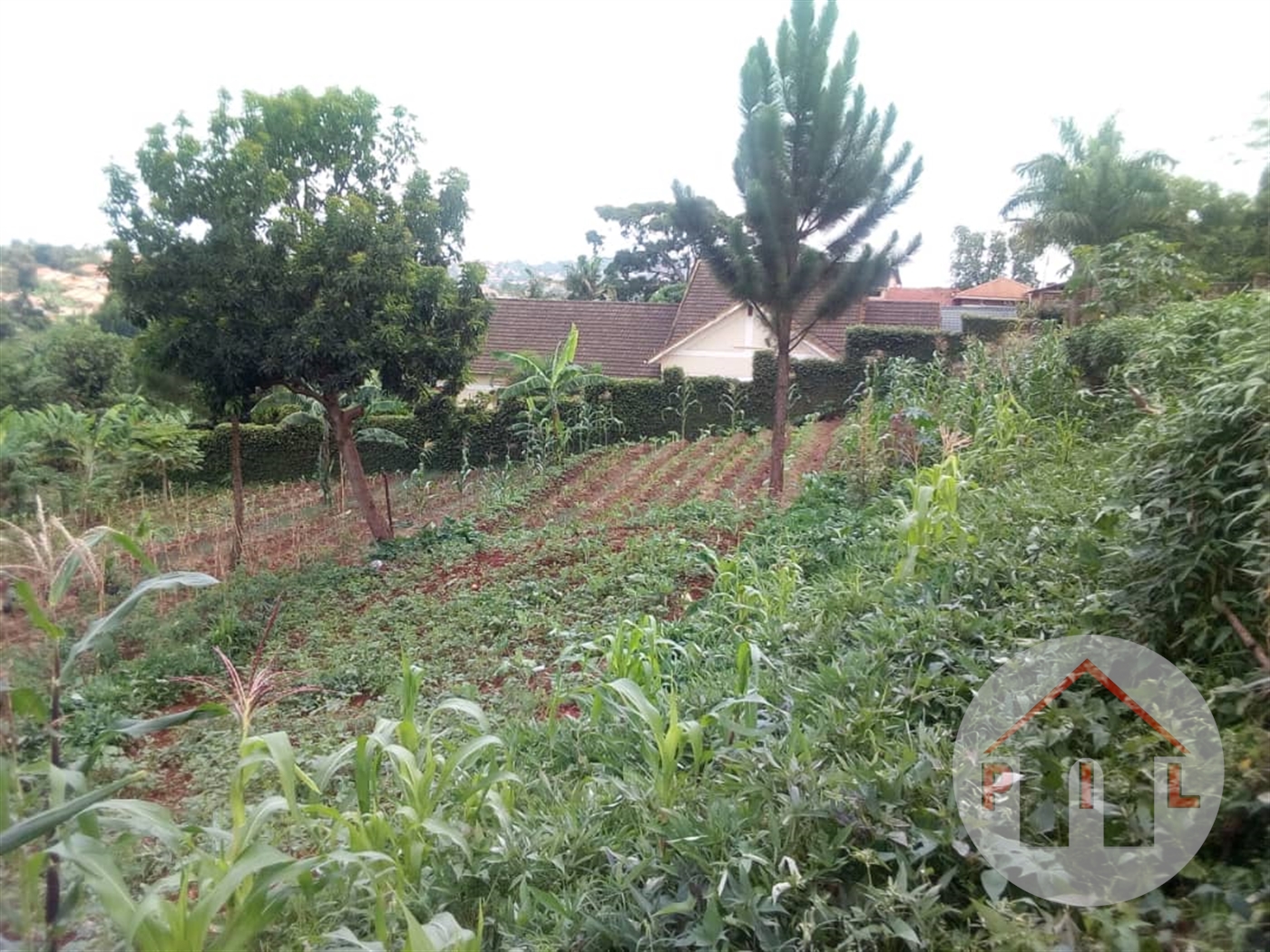 Residential Land for sale in Banda Wakiso