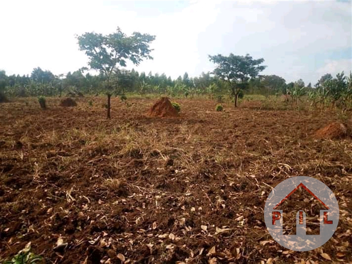 Residential Land for sale in Kirolo Luweero