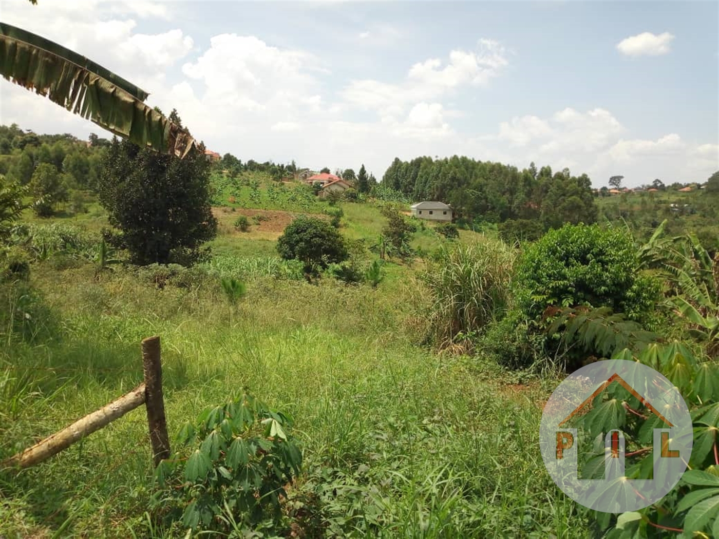 Agricultural Land for sale in Wabitungulu Luweero