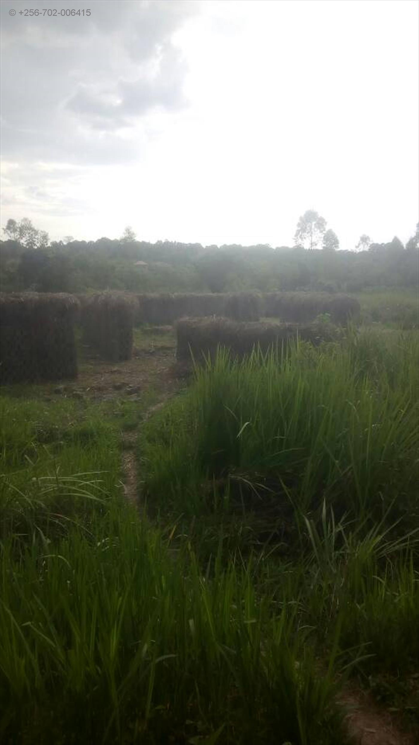 Agricultural Land for sale in Kazinga Wakiso