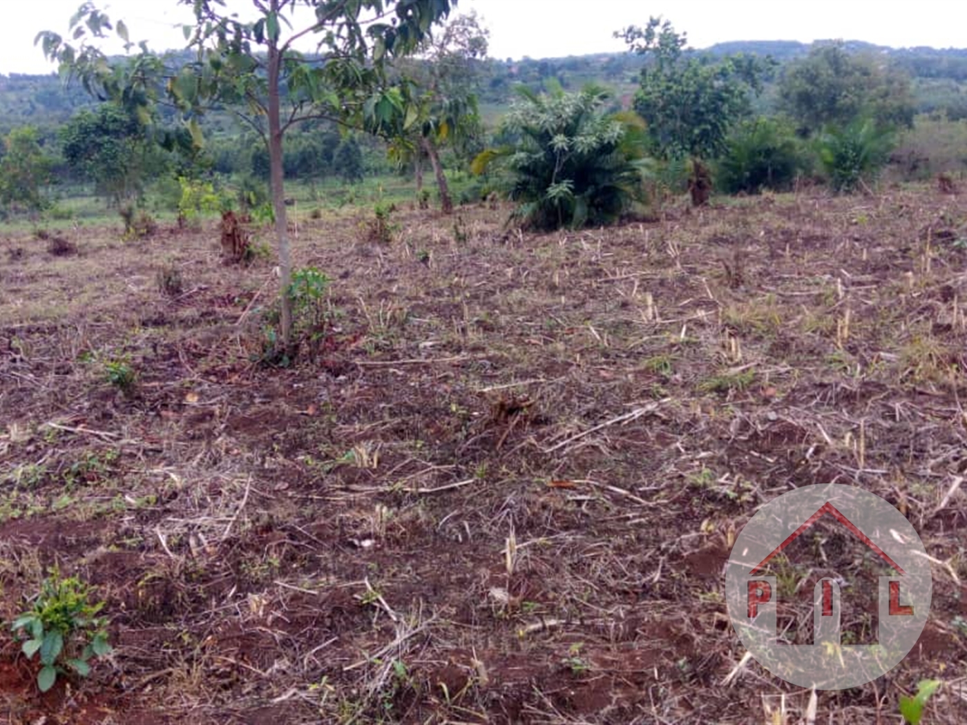 Agricultural Land for sale in Lukiizi Luweero