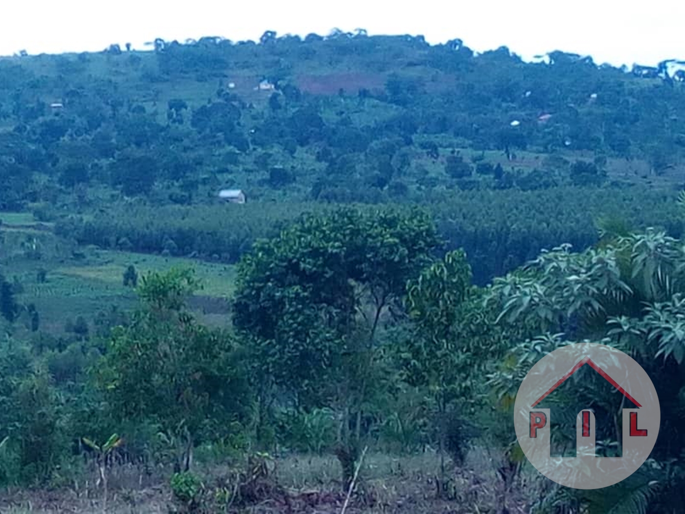 Agricultural Land for sale in Nkokonjeru Mukono