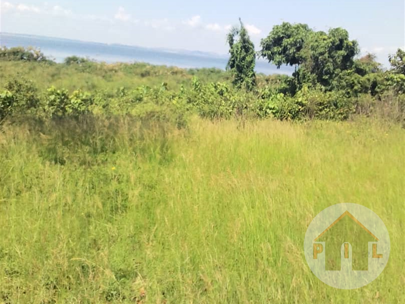 Agricultural Land for sale in Mpunge Mukono