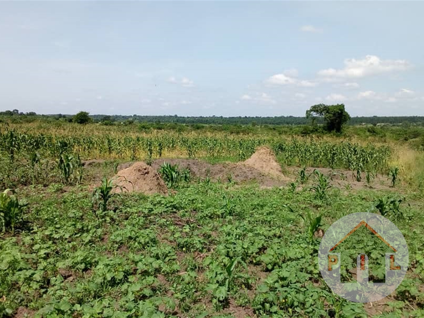 Residential Land for sale in Manyangwa Wakiso