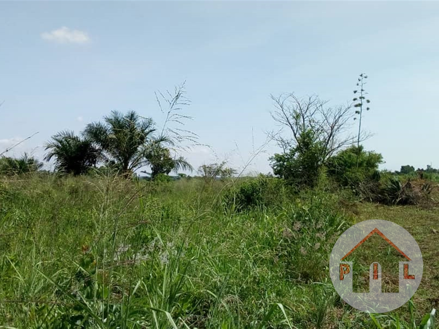 Agricultural Land for sale in Kikyuusa Luweero