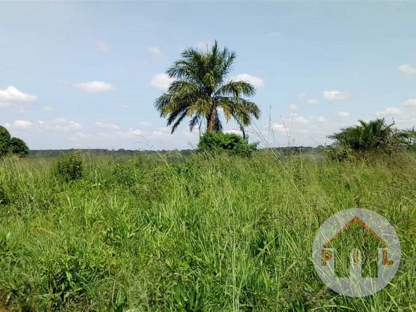 Agricultural Land for sale in Kikyuusa Luweero