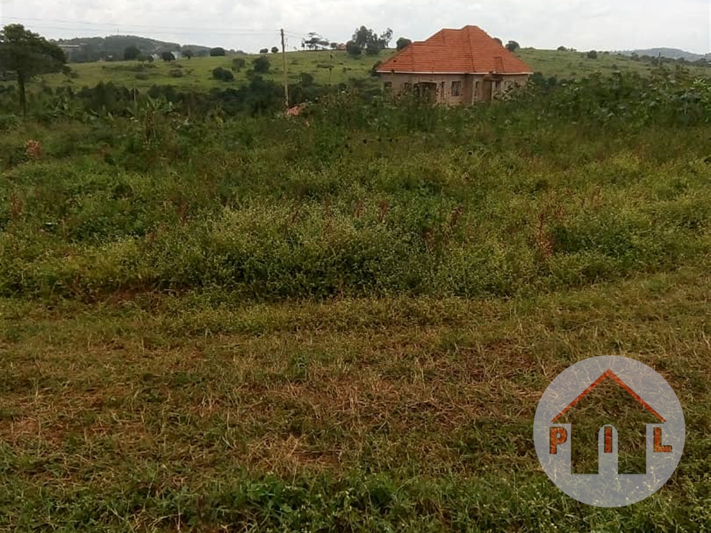 Agricultural Land for sale in Masonko Luweero