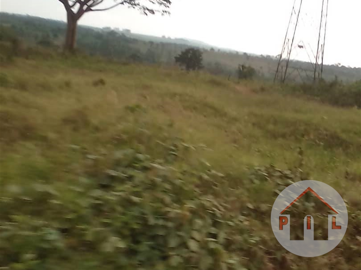 Agricultural Land for sale in Nakasongola Nakasongola