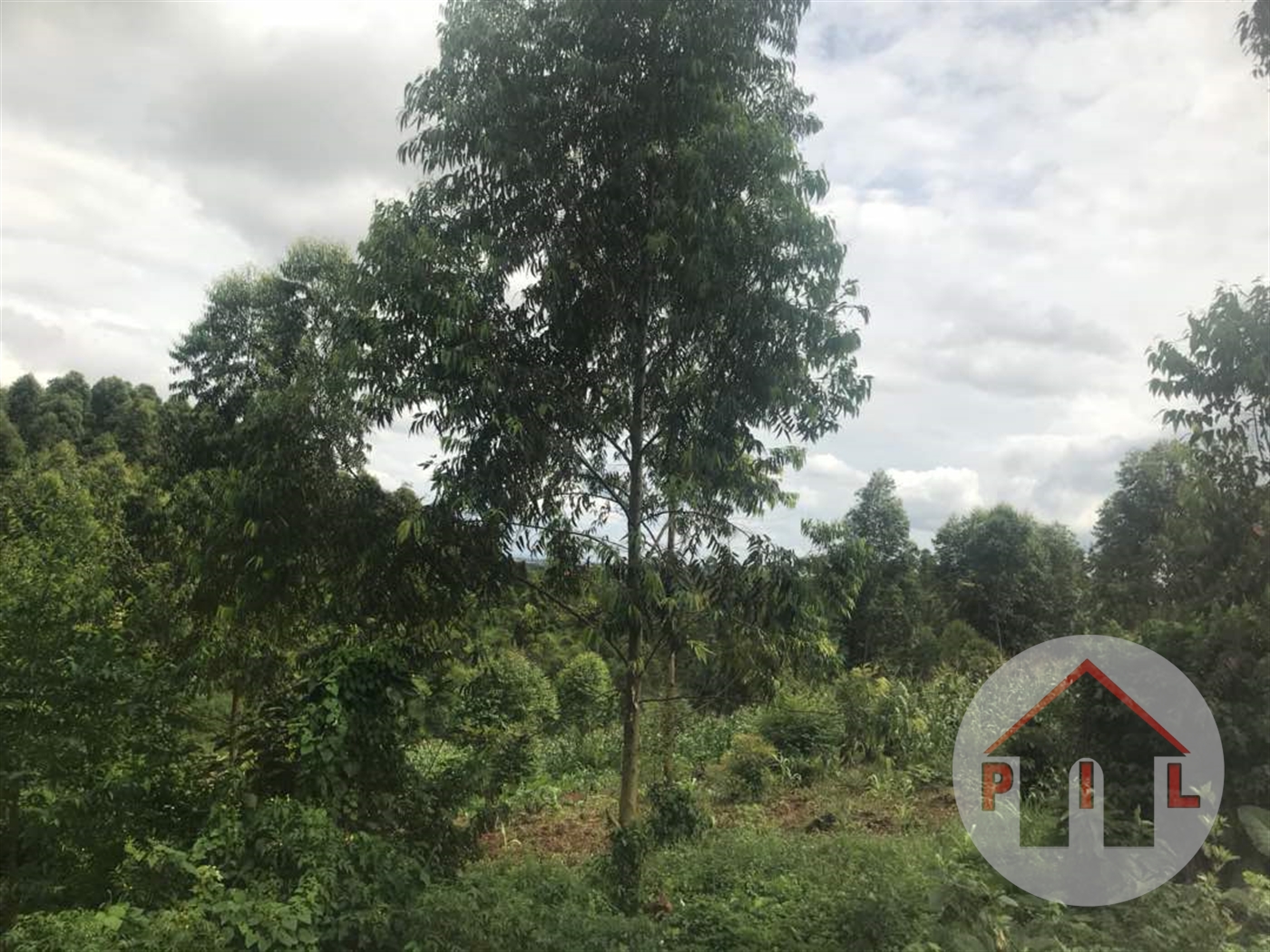 Residential Land for sale in Namugongo Wakiso