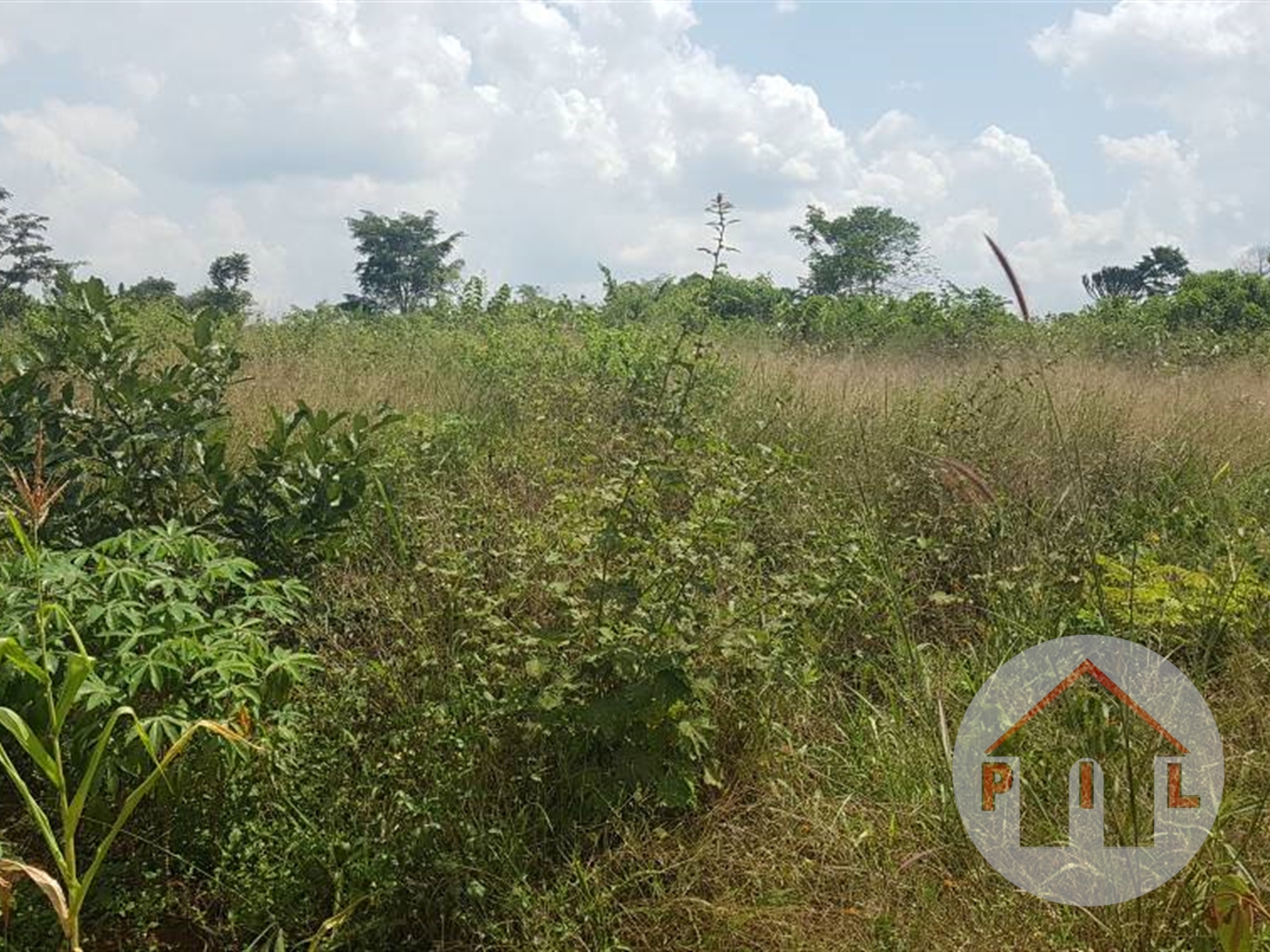 Residential Land for sale in Lubowa Wakiso